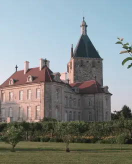 La fleur de vie - activités vers Maxilly Sur Saone - chateau