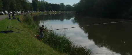 La fleur de vie - activités vers Maxilly Sur Saone - la-peche-heuilley-sur-saone