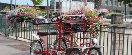 La fleur de vie - activités vers Maxilly Sur Saone - location de rosalie